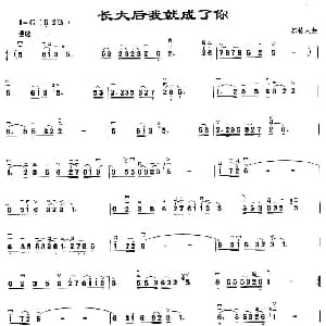 二胡谱 | 长大后我就成了你 苏栋人