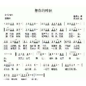 想你的时候_通俗唱法乐谱_词曲:岳洪志 年占华