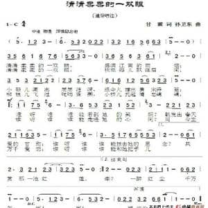清清柔柔的一双眼_歌谱投稿_词曲:甘霖 孙卫东