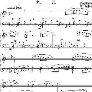 九儿_歌曲简谱_词曲: 沈建国编曲
