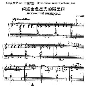 手风琴谱 | 闪耀金色星光的陨星雨