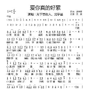 爱你真的好累_通俗唱法乐谱_词曲:龙宇星 龙宇星