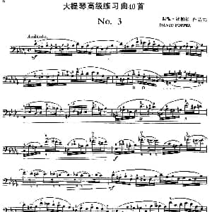 大提琴高级练习曲40首 No.3 戴维 波帕尔