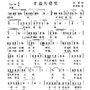 幸福的感觉_通俗唱法乐谱_词曲:雪源 薛清海