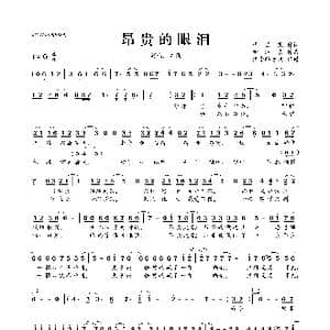 昂贵的眼泪_歌曲简谱_词曲:代岳东 金润吉