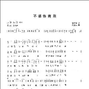 不想伤离别_歌曲简谱_词曲:王建学 人里人