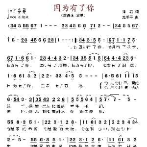 因为有了你_歌谱投稿_词曲:泽君 赵季平