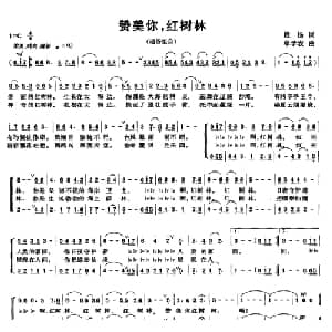 赞美你,红树林_合唱歌谱_词曲:段扬 牟学农