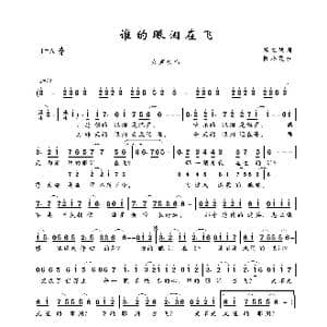 谁的眼泪在飞_歌曲简谱_词曲:杨立德 陈小霞