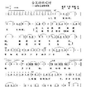 含笑的橄榄树_民歌简谱_词曲:晚笛 田耳 梓秋 武进勇