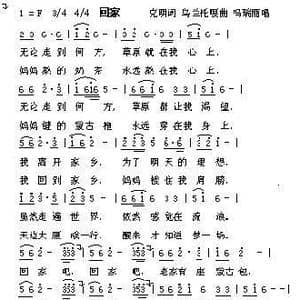 回家_歌谱投稿