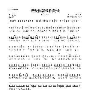我爱你就像你爱他_歌曲简谱