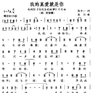 我的真爱就是你_通俗唱法乐谱_词曲:张中一 赵汀