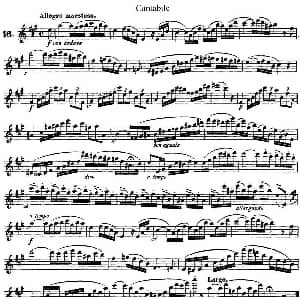 长笛曲谱 | 25首浪漫练习曲作品66号 NO.16 Kohler 柯勒