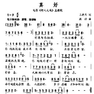 真好_通俗唱法乐谱_词曲:王持久 耿浩
