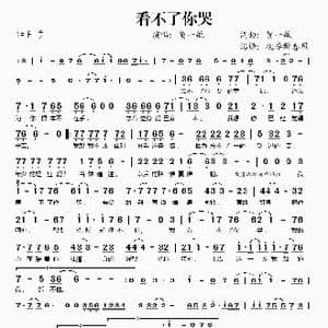 看不了你哭_歌谱投稿_词曲:贺一航 贺一航