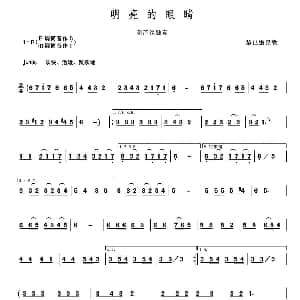 葫芦丝谱 | 明亮的眼睛