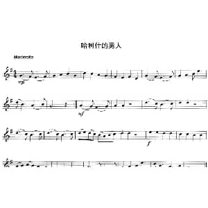 小提琴谱 | 哈利什的男人