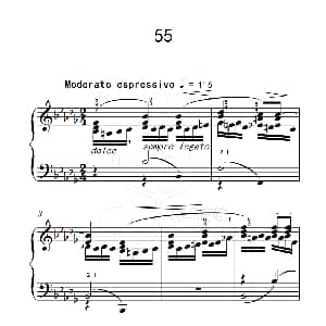 练习曲 55 钢琴谱