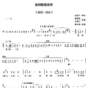 二人转谱 | 西厢 观花