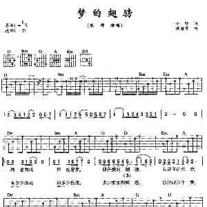 梦的翅膀 吉他谱 朱桦 小轩 谭健常