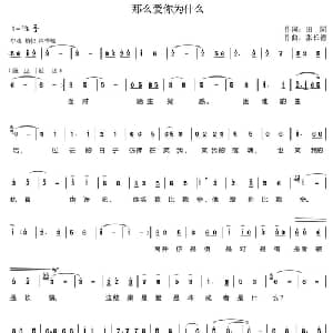 那么爱你为什么_通俗唱法乐谱_词曲:田园 张长德