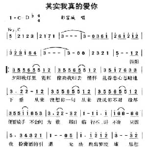 其实我真的爱你_通俗唱法乐谱