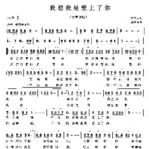 我想我是爱上了你_歌曲简谱_词曲:李宏天 胡润华