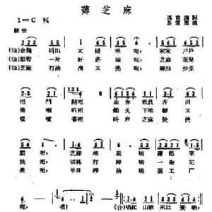 薅芝麻_民歌简谱_词曲:冯克钢 易爱华