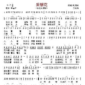 采银花_歌曲简谱_词曲:陈斌/现海 三朔