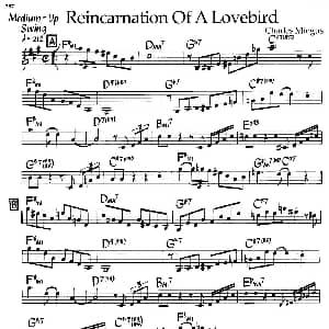 Reincarnation of a Lovebird 钢琴谱