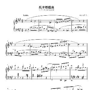 托卡塔组曲 2 钢琴谱 流行追梦人