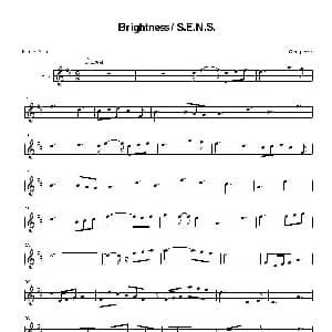 萨克斯谱 | Brigh tness/S.E.N.S.