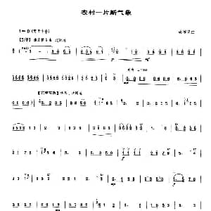 农村一片新气象 唢呐谱