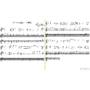 The Immigrant_歌谱投稿