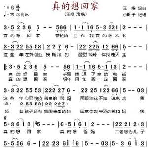 真的想回家_歌谱投稿_词曲:王晓 王晓