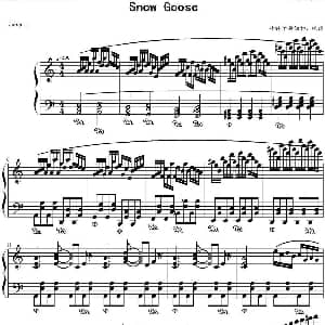 Snow Goose 钢琴谱
