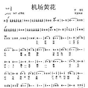 机场黄花_歌曲简谱_词曲:宁明 王训军