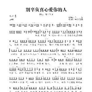 别辜负真心爱你的人_歌曲简谱_词曲:三力 三力