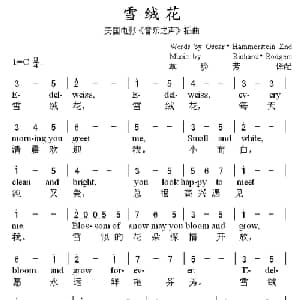 雪绒花 美国 _外国歌谱