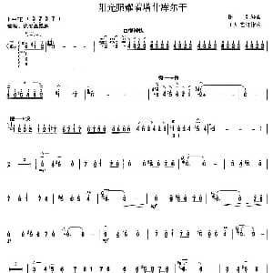 柳琴考级曲目十级 阳光照耀着塔什库尔干 陈刚编曲 王红艺定指法