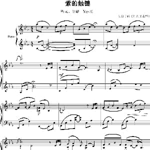 紫的触键 钢琴谱