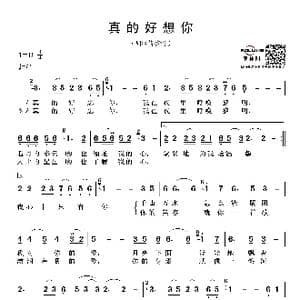 真的好想你_歌谱投稿_词曲:杨湘粤 李汉颖