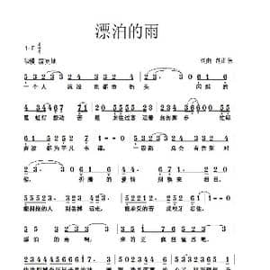 漂泊的雨_歌曲简谱_词曲:胡正伟 胡正伟