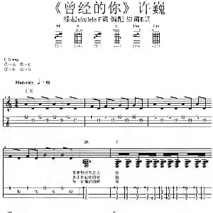 曾经的你 吉他谱 许巍