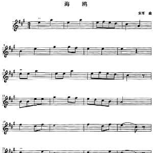 小提琴谱 | 海鸥 宋军