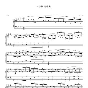 c小调练习曲 钢琴谱 曹博来