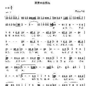 雨雾中的男孩_歌曲简谱_词曲:高立志 高立志