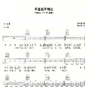 不是我不明白 吉他谱 梁静茹 卢广仲 陈珊妮 郭文贤