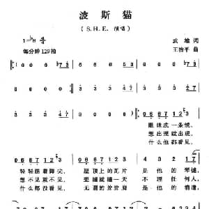 波斯猫_通俗唱法乐谱_词曲:武雄 王治平